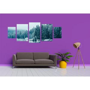 Casa si Gradina - Decoratiuni - Tablouri - Infinity.ro