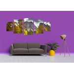 Casa si Gradina - Decoratiuni - Tablouri - Tablou multicanvas 5 piese Natura model 53, 220x90 cm - Infinity.ro