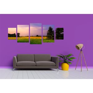 Casa si Gradina - Decoratiuni - Tablouri - Infinity.ro