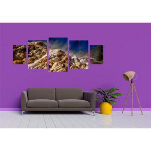 Casa si Gradina - Decoratiuni - Tablouri - Infinity.ro