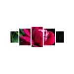 Casa si Gradina - Decoratiuni - Tablouri - Tablou multicanvas 5 piese Flori model 11, 220x90 cm - Infinity.ro