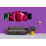 Casa si Gradina - Decoratiuni - Tablouri - Tablou multicanvas 5 piese Flori model 11, 220x90 cm - Infinity.ro