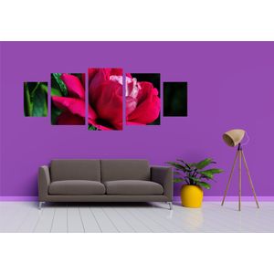 Casa si Gradina - Decoratiuni - Tablouri - Infinity.ro