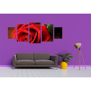 Casa si Gradina - Decoratiuni - Tablouri - Infinity.ro