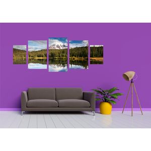 Casa si Gradina - Decoratiuni - Tablouri - Infinity.ro