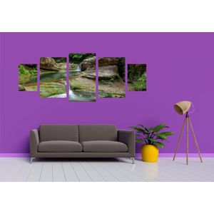 Casa si Gradina - Decoratiuni - Tablouri - Infinity.ro