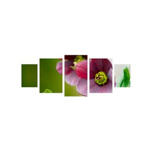 Casa si Gradina - Decoratiuni - Tablouri - Infinity.ro