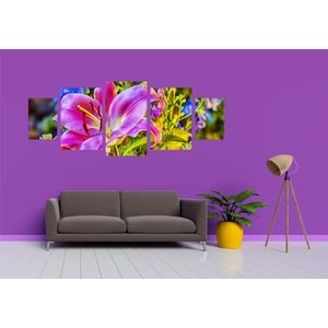 Casa si Gradina - Decoratiuni - Tablouri - Infinity.ro