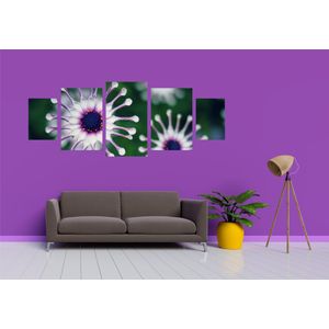 Casa si Gradina - Decoratiuni - Tablouri - Infinity.ro