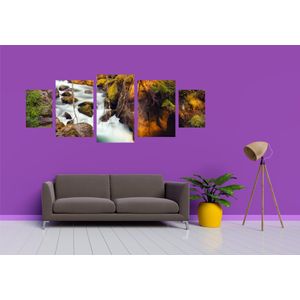 Casa si Gradina - Decoratiuni - Tablouri - Infinity.ro