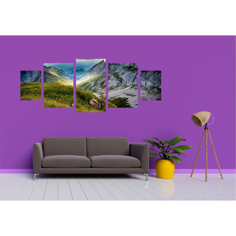 Casa si Gradina - Decoratiuni - Tablouri - Tablou multicanvas 5 piese Natura model 131, 220x90 cm - Infinity.ro