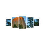 Casa si Gradina - Decoratiuni - Tablouri - Tablou multicanvas 5 piese Natura model 126, 220x90 cm - Infinity.ro