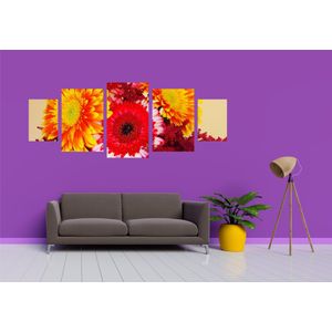 Casa si Gradina - Decoratiuni - Tablouri - Infinity.ro