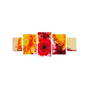 Casa si Gradina - Decoratiuni - Tablouri - Infinity.ro