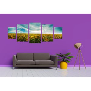 Casa si Gradina - Decoratiuni - Tablouri - Infinity.ro