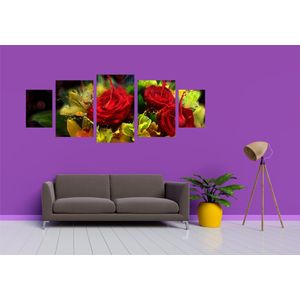 Casa si Gradina - Decoratiuni - Tablouri - Infinity.ro