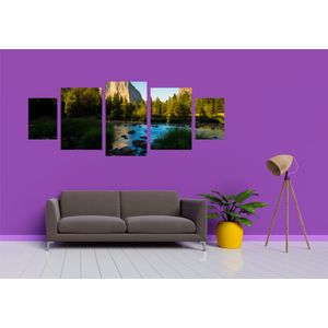 Casa si Gradina - Decoratiuni - Tablouri - Infinity.ro