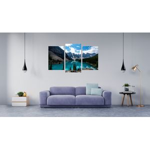 Casa si Gradina - Decoratiuni - Tablouri - Infinity.ro