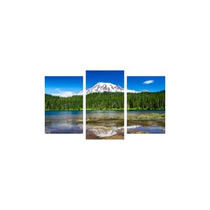 Casa si Gradina - Decoratiuni - Tablouri - Infinity.ro