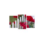 Casa si Gradina - Decoratiuni - Tablouri - Tablou multicanvas 3 piese Trandafiri pe gard, 150x90 cm - Infinity.ro
