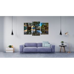 Casa si Gradina - Decoratiuni - Tablouri - Infinity.ro