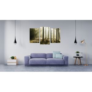 Casa si Gradina - Decoratiuni - Tablouri - Infinity.ro