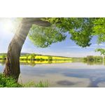 Casa si Gradina - Decoratiuni - Tablouri - Tablou canvas Peisaj 609, 50x35 cm - Infinity.ro