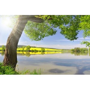 Casa si Gradina - Decoratiuni - Tablouri - Infinity.ro