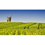 Casa si Gradina - Decoratiuni - Tablouri - Tablou canvas Peisaj 891, 20x30 cm - Infinity.ro