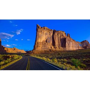 Casa si Gradina - Decoratiuni - Tablouri - Infinity.ro