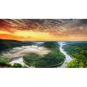 Casa si Gradina - Decoratiuni - Tablouri - Infinity.ro