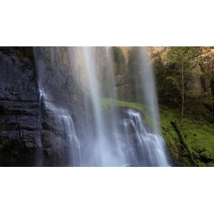 Casa si Gradina - Decoratiuni - Tablouri - Infinity.ro