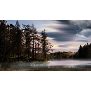 Casa si Gradina - Decoratiuni - Tablouri - Infinity.ro