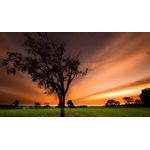 Casa si Gradina - Decoratiuni - Tablouri - Tablou canvas Peisaj 720, 100x70 cm - Infinity.ro