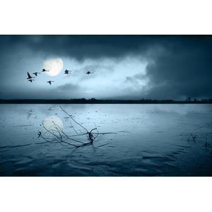 Casa si Gradina - Decoratiuni - Tablouri - Infinity.ro