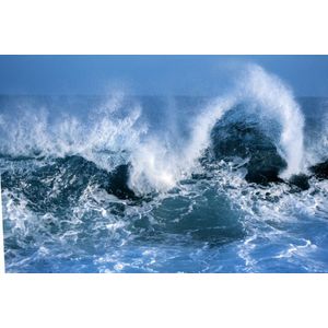 Casa si Gradina - Decoratiuni - Tablouri - Infinity.ro