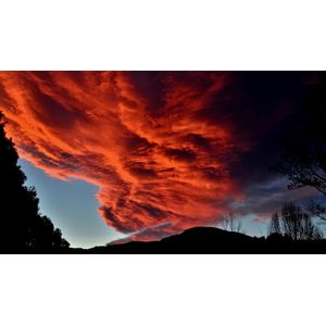 Casa si Gradina - Decoratiuni - Tablouri - Infinity.ro