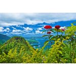 Casa si Gradina - Decoratiuni - Tablouri - Tablou canvas Peisaj 625, 100x70 cm - Infinity.ro