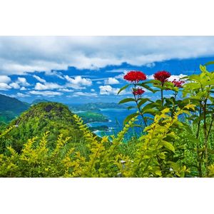 Casa si Gradina - Decoratiuni - Tablouri - Infinity.ro