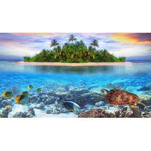 Casa si Gradina - Decoratiuni - Tablouri - Infinity.ro