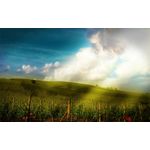 Casa si Gradina - Decoratiuni - Tablouri - Tablou canvas Peisaj 639, 20x30 cm - Infinity.ro