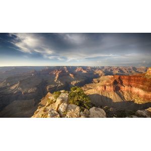 Casa si Gradina - Decoratiuni - Tablouri - Infinity.ro