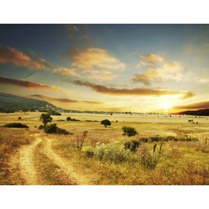 Casa si Gradina - Decoratiuni - Tablouri - Infinity.ro