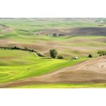 Casa si Gradina - Decoratiuni - Tablouri - Tablou canvas Peisaj 525, 75x50 cm - Infinity.ro