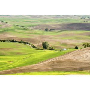 Casa si Gradina - Decoratiuni - Tablouri - Infinity.ro