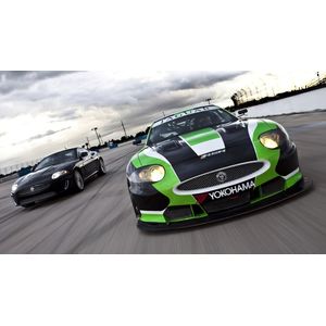 Casa si Gradina - Decoratiuni - Tablouri - Infinity.ro