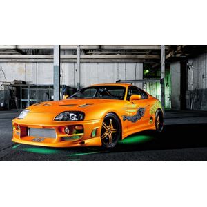 Casa si Gradina - Decoratiuni - Tablouri - Infinity.ro