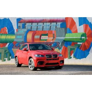 Casa si Gradina - Decoratiuni - Tablouri - Infinity.ro