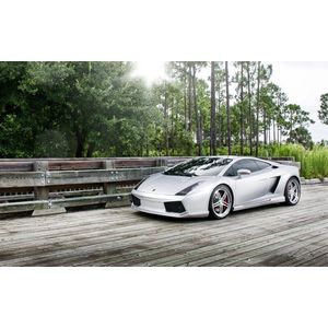 Casa si Gradina - Decoratiuni - Tablouri - Infinity.ro