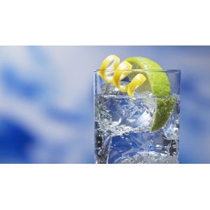 Tablou canvas  Drinks and food model 59